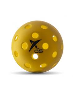 Pickleball Ball Drop Shot Tournament Outdoor