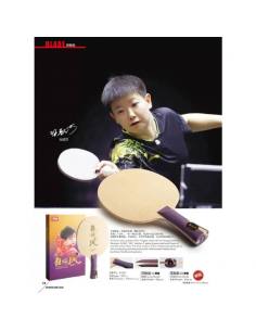 Bois DHS Sun Yingsha 2