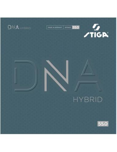 Goma Stiga DNA Hybrid 55