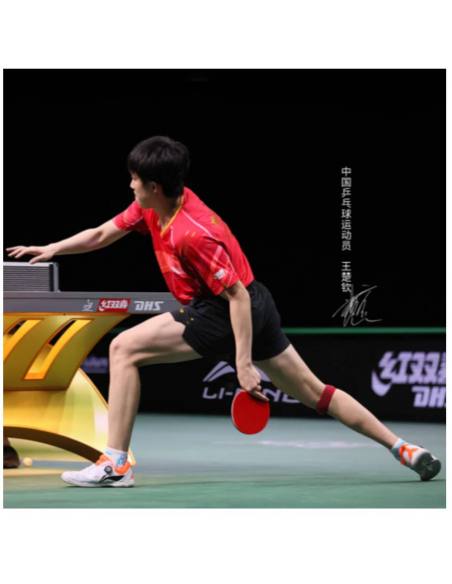 Chaussures Li Ning Mage Pe Wang Chuqin