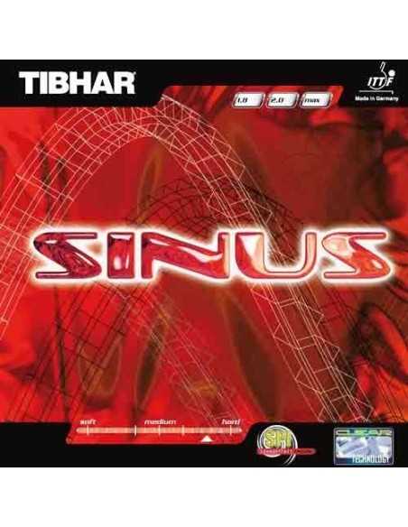 Goma Tibhar Sinus