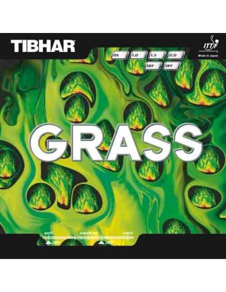 Goma Tibhar Grass 
