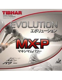 Borracha Tibhar Evolution MX-P