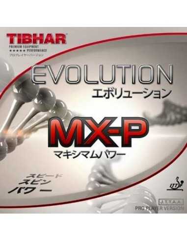 Borracha Tibhar Evolution MX-P