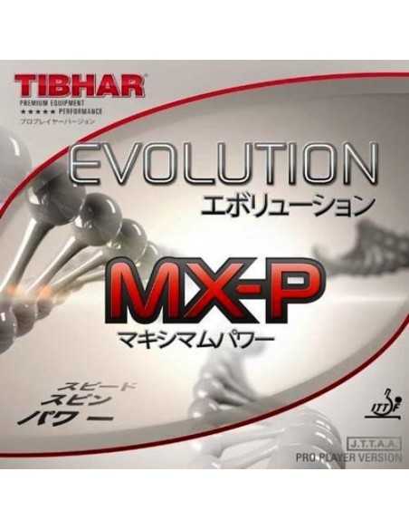 Borracha Tibhar Evolution MX-P