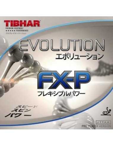 Borracha Tibhar Evolution FX-P