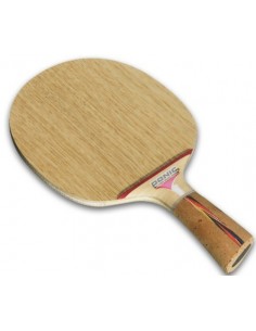 Madera Donic Waldner Dotec Carbón