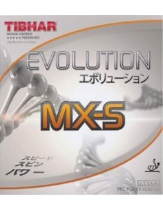 Borracha Tibhar Evolution MX-S