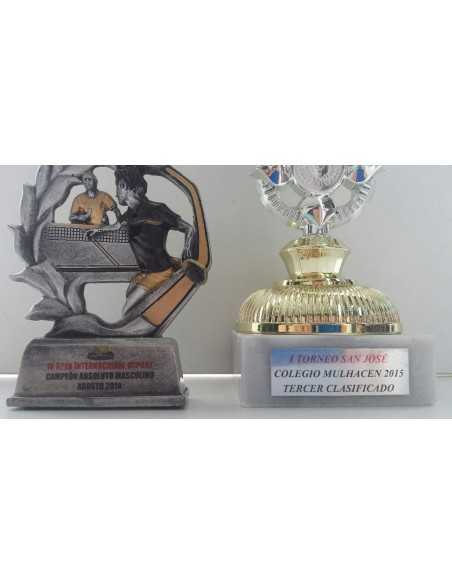 Enregistrement trophée