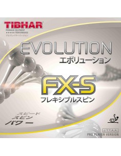 Borracha Tibhar Evolution MX-S