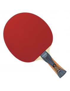 Raquette GEWO Player Thunderball²