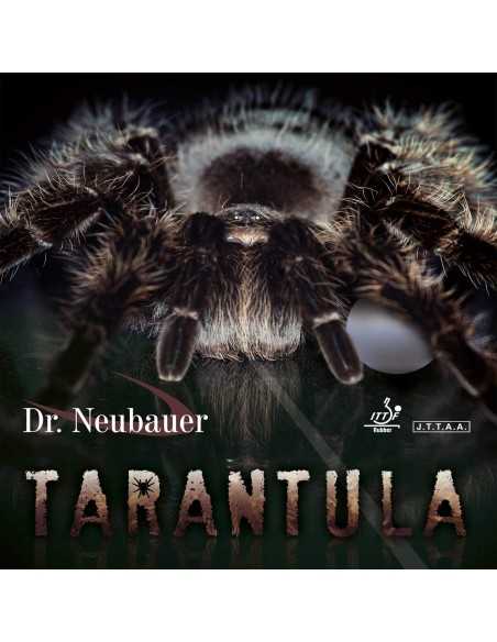 Dr. Neubauer goma Tarantula