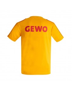 Camiseta Gewo Alvaro Robles 2