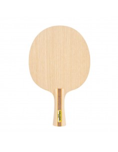 nuevo 1