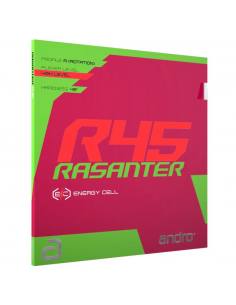 Andro Rasanter R45