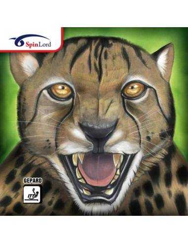 Rubber Spinlord Gepard