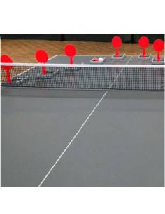 Raquette Training Flip Paddle 2