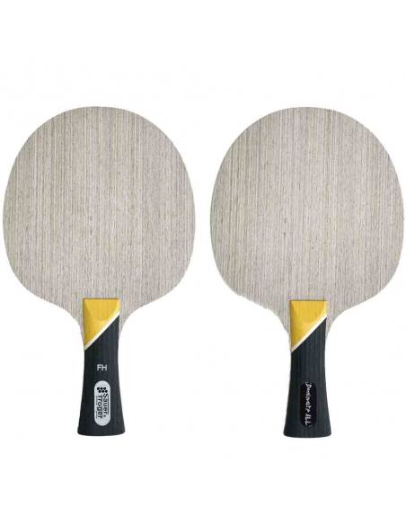 Bois Sauer & Tröger Dominate ALL