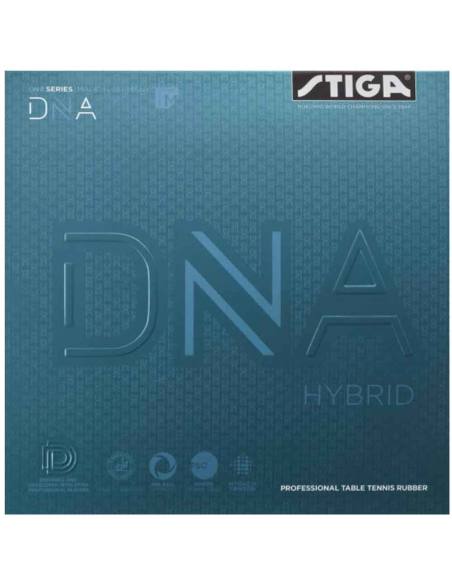 Goma Stiga DNA Hybrid M