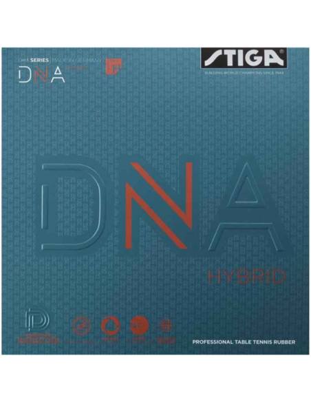 Borracha Stiga DNA Hybrid H
