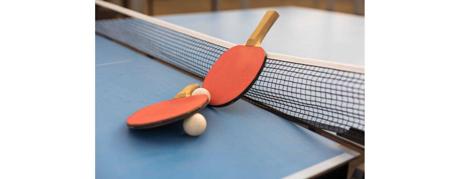 Raqueta de ping pong