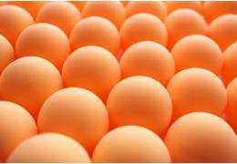 Tips para elegir las mejores pelotas de ping pong