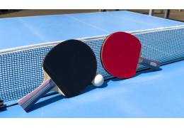 The best rubbers for ping pong paddles in 2025