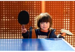 LES MINI TABLES DE PING PONG, LE CADEAU STAR POUR DÉBUTER LE TENNIS DE TABLE