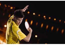 Quel type de bois les professionnels utilisent-ils dans leurs raquettes de ping-pong ?