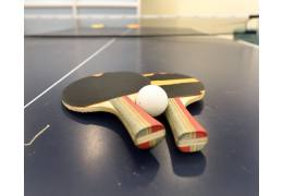 Los accesorios imprescindibles para tu pala de ping pong: protectores, fundas y más